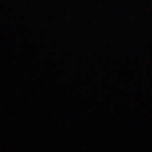 Meet your Posher, Sable